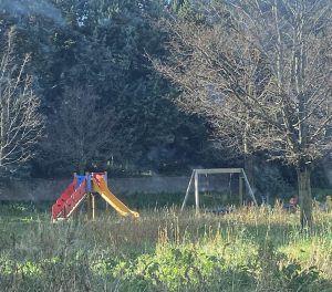 Viterbo – L’erba divora i giardini pubblici della Grotticella: “Sindaca pensi a tagliare l’erba anziché solo i nastri”